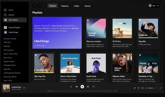 Spotify for WindowsɫЯ