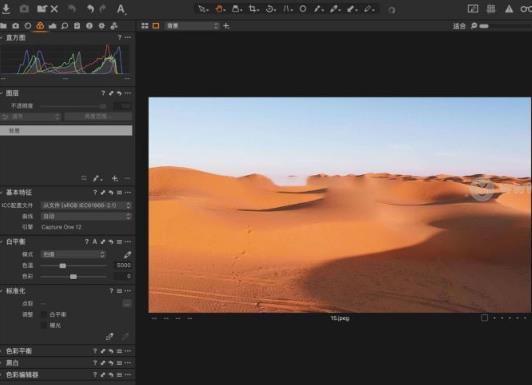 Capture One 23 Pro精简版
