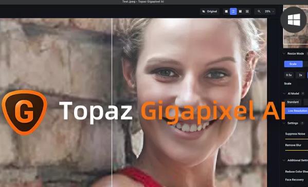 Topaz Gigapixel AI中文版