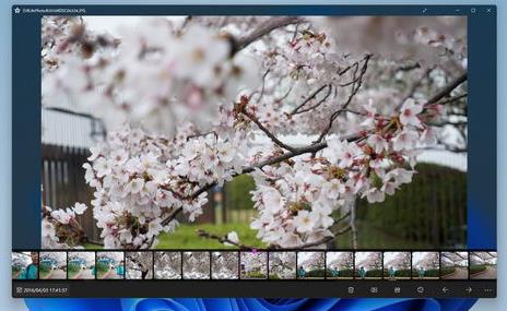 Sakura Photo Viewer官方正式版
