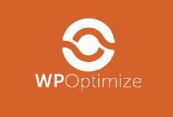 WP Optimize Premium V3.2.1汉化版专业数据库优化多合一插件