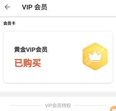 乐秀录屏大师VIP特权