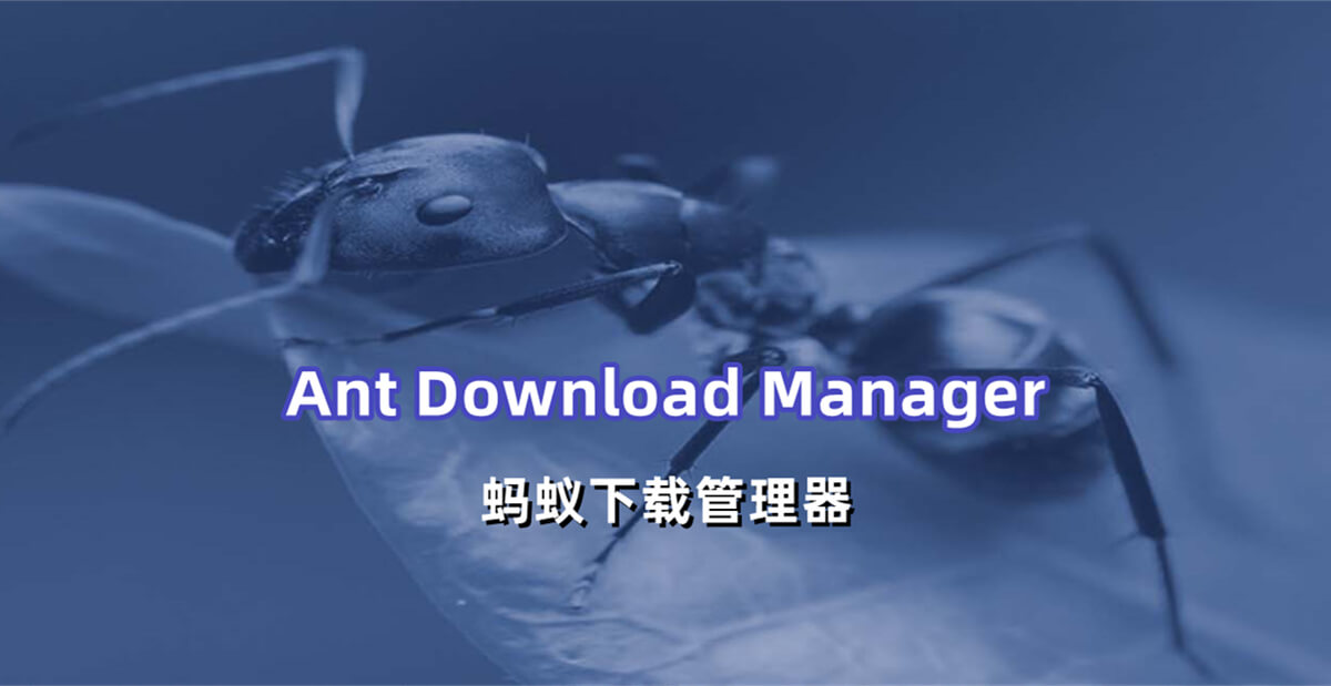 Ant Download Manager蚂蚁下载管理器