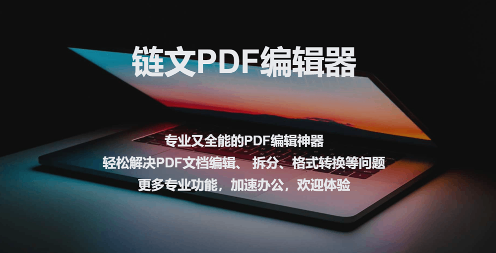 链文PDF官网