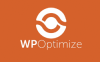 WP Optimize Premium V3.2.1汉化版专业数据库优化多合一插件