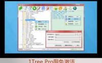 1Tree Pro专业版树状视图文件查看清理工具限时免费激活