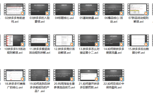 拼多多开店教程,从入驻到盈利共22节视频课